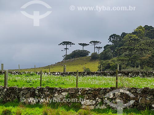  Landscape of Gaucha Mountain Range during the winter  - Sao Francisco de Paula city - Rio Grande do Sul state (RS) - Brazil