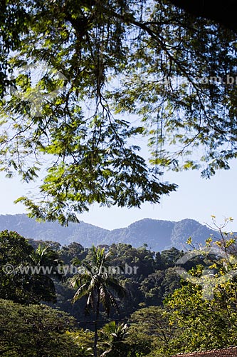  Macuco Mountain Range  - Nova Iguacu city - Rio de Janeiro state (RJ) - Brazil