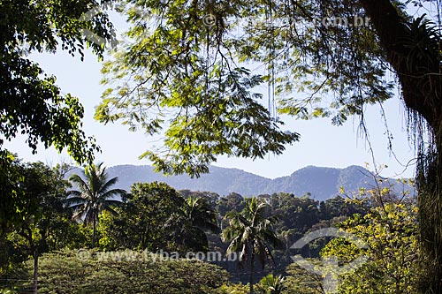  Macuco Mountain Range  - Nova Iguacu city - Rio de Janeiro state (RJ) - Brazil