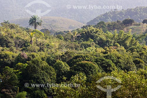  Atlantic Rainforest view from the top of Nossa Senhora do Rosario Cemetery  - Nova Iguacu city - Rio de Janeiro state (RJ) - Brazil