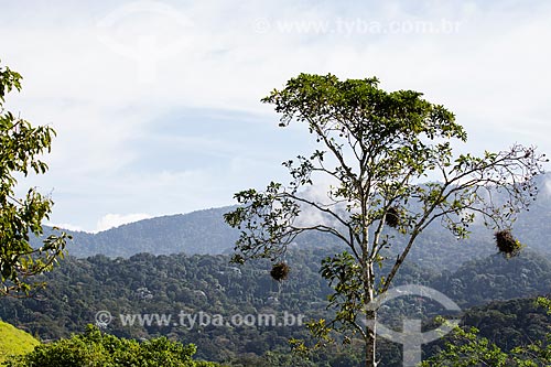  Tingua Mountain Range  - Nova Iguacu city - Rio de Janeiro state (RJ) - Brazil