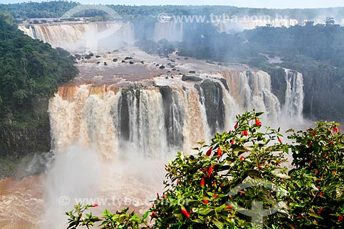  Overfalls of Iguassu Waterfalls - Iguassu National Park  - Foz do Iguacu city - Parana state (PR) - Brazil