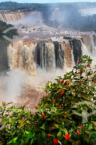  Overfalls of Iguassu Waterfalls - Iguassu National Park  - Foz do Iguacu city - Parana state (PR) - Brazil