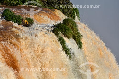  Overfalls of Iguassu Waterfalls - Iguassu National Park  - Foz do Iguacu city - Parana state (PR) - Brazil