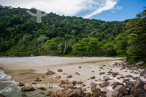  Santo Antonio Beach waterfront  - Angra dos Reis city - Rio de Janeiro state (RJ) - Brazil