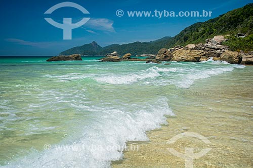  Lopes Mendes Beach waterfront  - Angra dos Reis city - Rio de Janeiro state (RJ) - Brazil