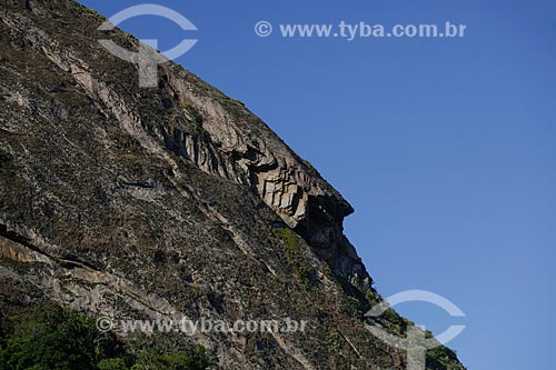  Detail of Sugar Loaf viewed from Urca Mountain trail  - Rio de Janeiro city - Rio de Janeiro state (RJ) - Brazil