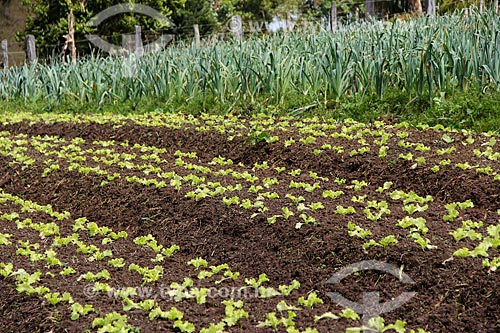  Kitchen garden - Vale das Palmeiras Farm  - Teresopolis city - Rio de Janeiro state (RJ) - Brazil