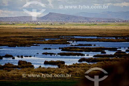  General view of Titicaca Lake 