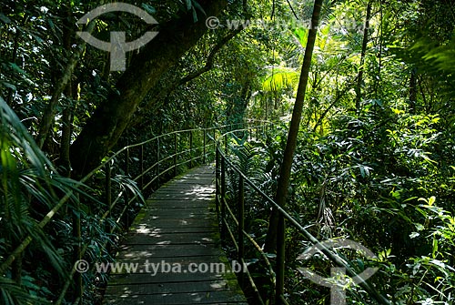  Stretch of suspended trail - Serra dos Orgaos National Park  - Teresopolis city - Rio de Janeiro state (RJ) - Brazil