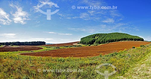  View of plow soil for planting from BR-476 highway - also known as Xisto Highway (Schist Highway)  - Uniao da Vitoria city - Parana state (PR) - Brazil