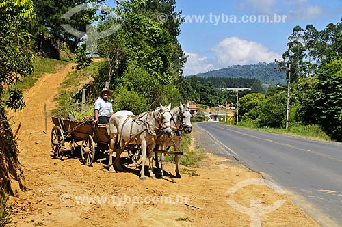  Wagon near of road - Witmarsum city  - Witmarsum city - Santa Catarina state (SC) - Brazil