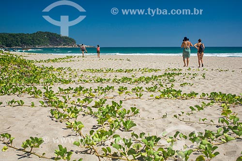  Antigos Beach  - Paraty city - Rio de Janeiro state (RJ) - Brazil