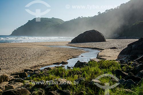  Antigos Beach  - Paraty city - Rio de Janeiro state (RJ) - Brazil