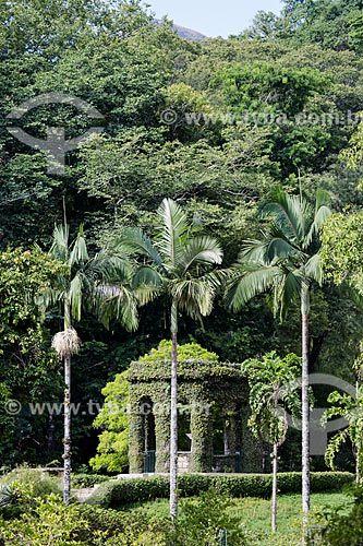  Bandstand - Botanical Garden of Rio de Janeiro  - Rio de Janeiro city - Rio de Janeiro state (RJ) - Brazil