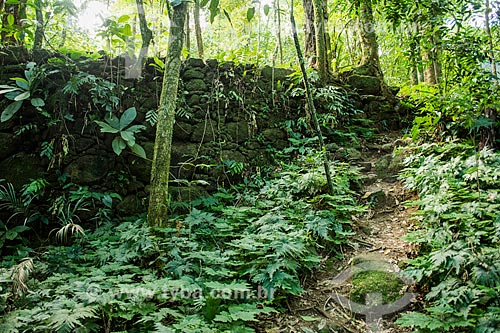  Archaeological ruins near to Visitors Center von Martius - Serra dos Orgaos National Park  - Guapimirim city - Rio de Janeiro state (RJ) - Brazil