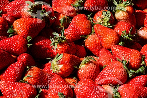  Detail of Strawberries  - Santiago city - Santiago Province - Chile