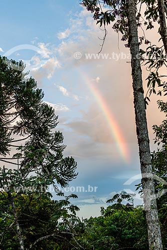  Rainbow - Serrinha do Alambari Environmental Protection Area  - Resende city - Rio de Janeiro state (RJ) - Brazil