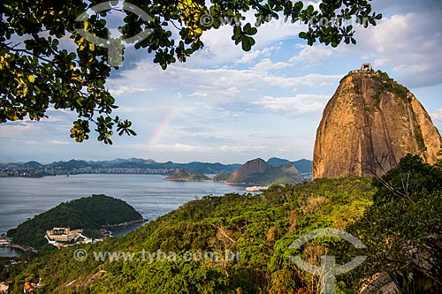  Cable car making the crossing between the Urca Mountain and Sugar Loaf  - Rio de Janeiro city - Rio de Janeiro state (RJ) - Brazil