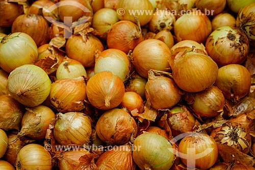  Organic Onions - Vale das Palmeiras Farm  - Teresopolis city - Rio de Janeiro state (RJ) - Brazil