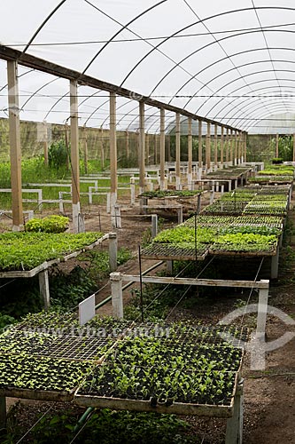  Greenhouse with seedlings - Vale das Palmeiras Farm  - Teresopolis city - Rio de Janeiro state (RJ) - Brazil