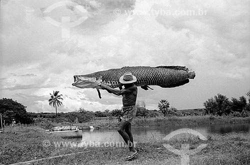  Fisherman holding pirarucu (Arapaima gigas)  - Rio Grande do Norte state (RN) - Brazil