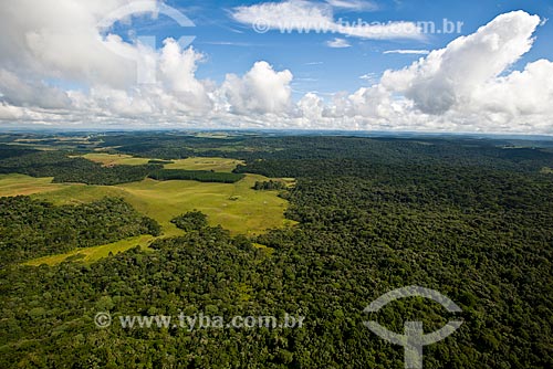  Aerial photo of vegetation area of Campos de Cima da Serra  - Cambara do Sul city - Rio Grande do Sul state (RS) - Brazil