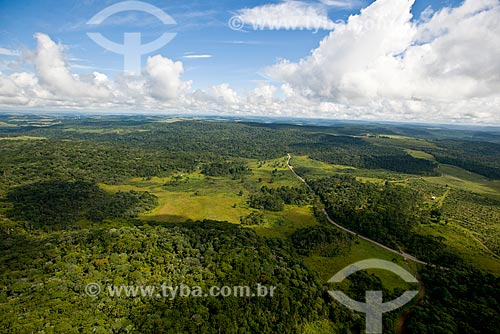  Aerial photo of vegetation area of Campos de Cima da Serra  - Cambara do Sul city - Rio Grande do Sul state (RS) - Brazil
