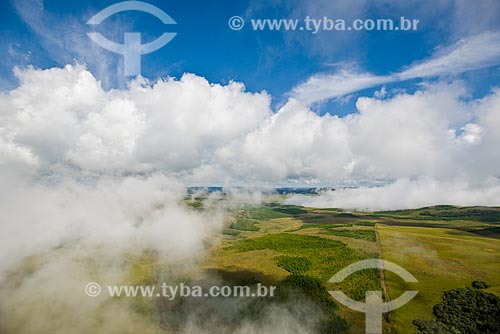  Aerial photo of vegetation area of Campos de Cima da Serra  - Cambara do Sul city - Rio Grande do Sul state (RS) - Brazil