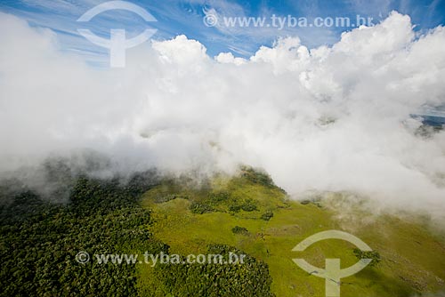  Aerial photo of vegetation area of Campos de Cima da Serra  - Cambara do Sul city - Rio Grande do Sul state (RS) - Brazil