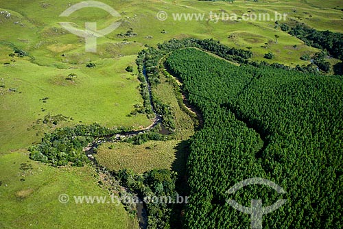  Aerial photo of reforestation area using eucalyptus - Campos de Cima da Serra  - Cambara do Sul city - Rio Grande do Sul state (RS) - Brazil