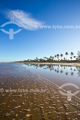  View of Canavieiras city waterfront  - Canavieiras city - Bahia state (BA) - Brazil