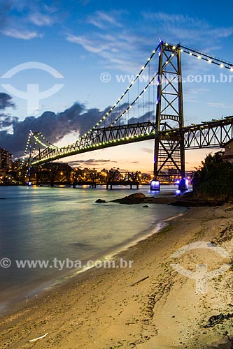  View of Hercilio Luz Bridge (1926) during the evening  - Florianopolis city - Santa Catarina state (SC) - Brazil