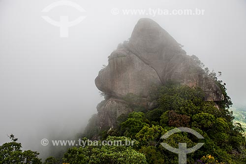  Bico do Papagaio Mountain - Tijuca National Park  - Rio de Janeiro city - Rio de Janeiro state (RJ) - Brazil