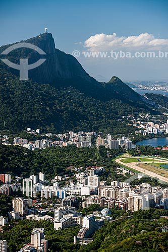  View of Gavea neighborhood with the Christ the Redeemer in the background from Morro Dois Irmaos (Two Brothers Mountain) trail  - Rio de Janeiro city - Rio de Janeiro state (RJ) - Brazil