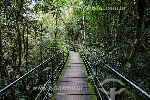  Suspended trail - Serra dos Orgaos National Park - Teresopolis Headquarters  - Teresopolis city - Rio de Janeiro state (RJ) - Brazil
