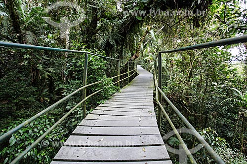  Suspended trail - Serra dos Orgaos National Park - Teresopolis Headquarters  - Teresopolis city - Rio de Janeiro state (RJ) - Brazil