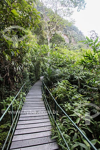  Suspended trail - Serra dos Orgaos National Park - Teresopolis Headquarters  - Teresopolis city - Rio de Janeiro state (RJ) - Brazil