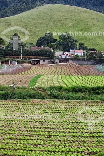  Vegetable planting  - Teresopolis city - Rio de Janeiro state (RJ) - Brazil