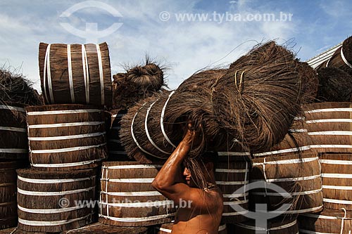  Loading of Piassava (Attalea funifera) - Barcelos city port  - Barcelos city - Amazonas state (AM) - Brazil