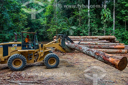  Skidder carrying of trunks  - Paragominas city - Para state (PA) - Brazil