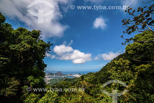  Rodrigo de Freitas Lagoon view from Mirante Vista Chinesa (Chinese View)  - Rio de Janeiro city - Rio de Janeiro state (RJ) - Brazil