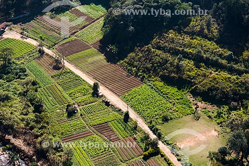  Aerial photo of kitchen garden - Jacana region  - Sao Paulo city - Sao Paulo state (SP) - Brazil