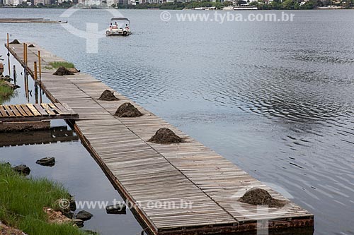  Deck with seaweed from the bottom of Rodrigo de Freitas Lagoon  - Rio de Janeiro city - Rio de Janeiro state (RJ) - Brazil