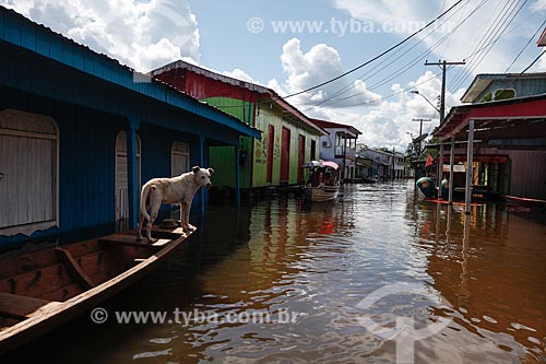  City of Anama during flooding of the Solimoes River  - Anama city - Amazonas state (AM) - Brazil
