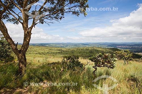  Typical vegetation of cerrado - Serra dos Pireneus State Park  - Pirenopolis city - Goias state (GO) - Brazil