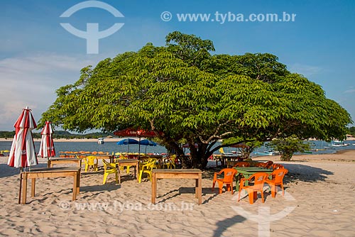  Treet - Alter-do-Chao Beach waterfront  - Santarem city - Para state (PA) - Brazil