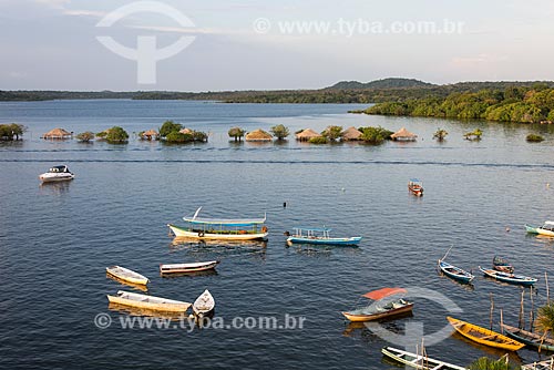  Top view of moored boats - Amor Island (Love Island) waterfront  - Santarem city - Para state (PA) - Brazil