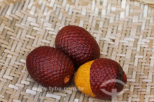  Fruit of buriti  - Manaus city - Amazonas state (AM) - Brazil