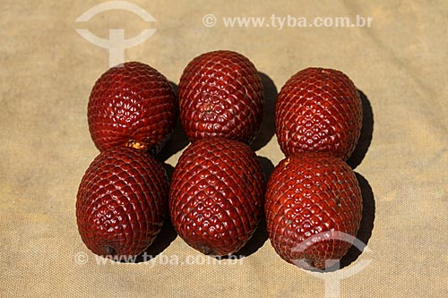  Fruit of buriti  - Manaus city - Amazonas state (AM) - Brazil